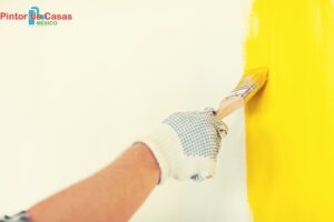 Pintura plástica